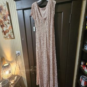 Adrianna Papell Color "Blush" Size 12